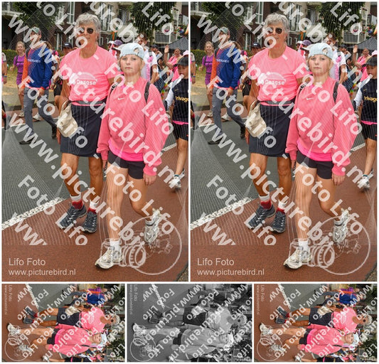Evenement foto: Nijmeegse Vierdaagse 1032