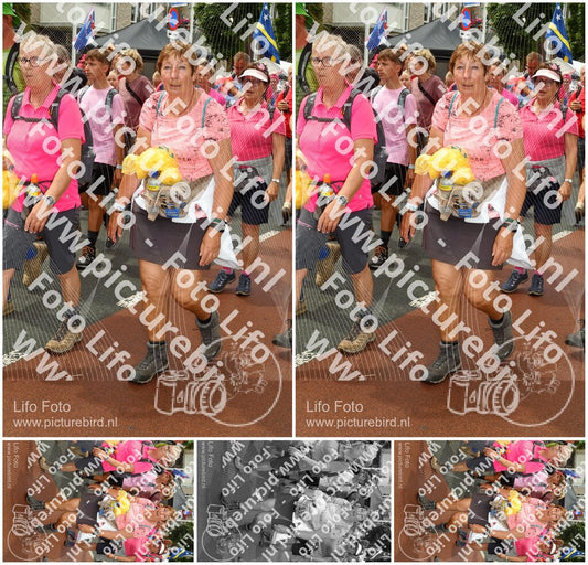 Evenement foto: Nijmeegse Vierdaagse 1032