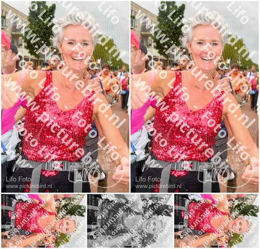 Evenement foto: Nijmeegse Vierdaagse 1031