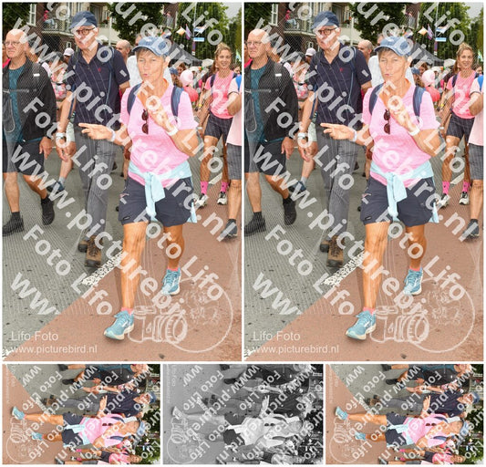 Evenement foto: Nijmeegse Vierdaagse 1031