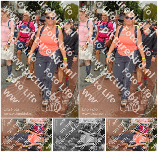 Evenement foto: Nijmeegse Vierdaagse 1031
