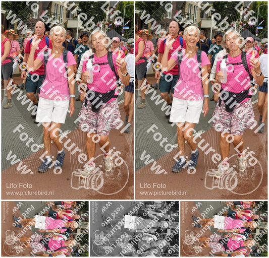 Evenement foto: Nijmeegse Vierdaagse 1031