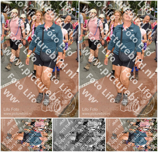 Evenement foto: Nijmeegse Vierdaagse 1031