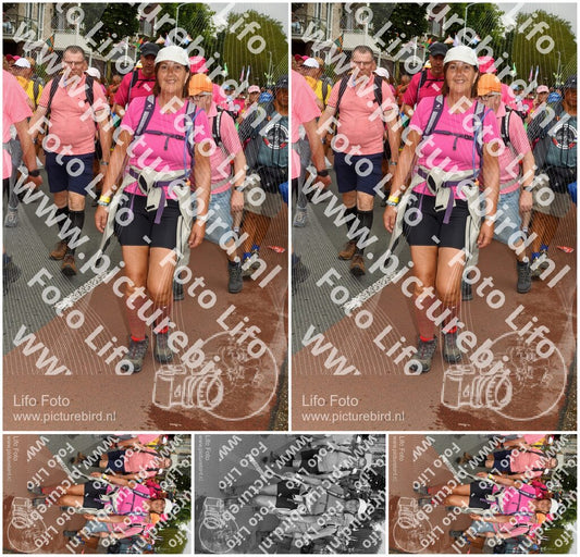 Evenement foto: Nijmeegse Vierdaagse 1031