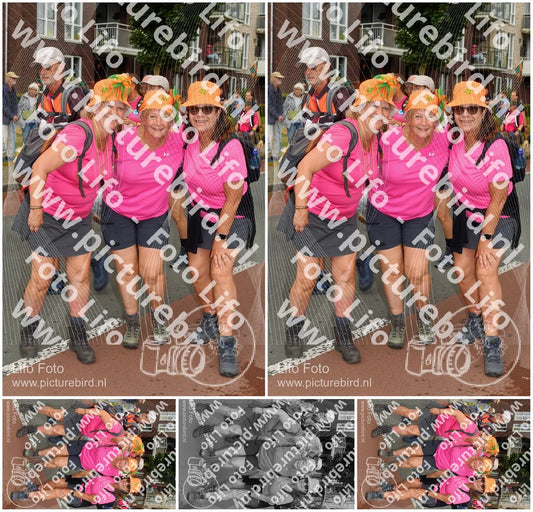 Evenement foto: Nijmeegse Vierdaagse 1031