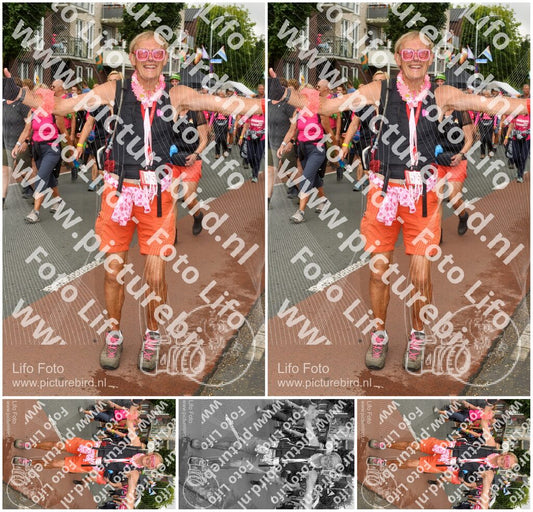 Evenement foto: Nijmeegse Vierdaagse 1031