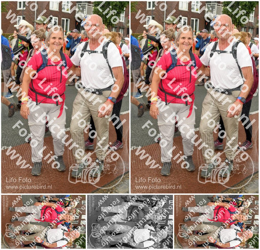 Evenement foto: Nijmeegse Vierdaagse 1031