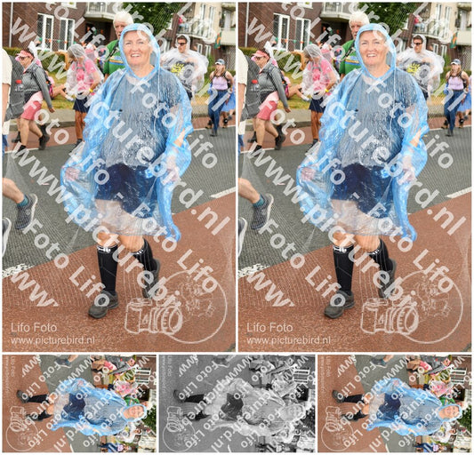 Evenement foto: Nijmeegse Vierdaagse 1031