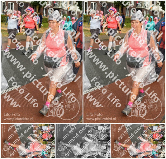 Evenement foto: Nijmeegse Vierdaagse 1031