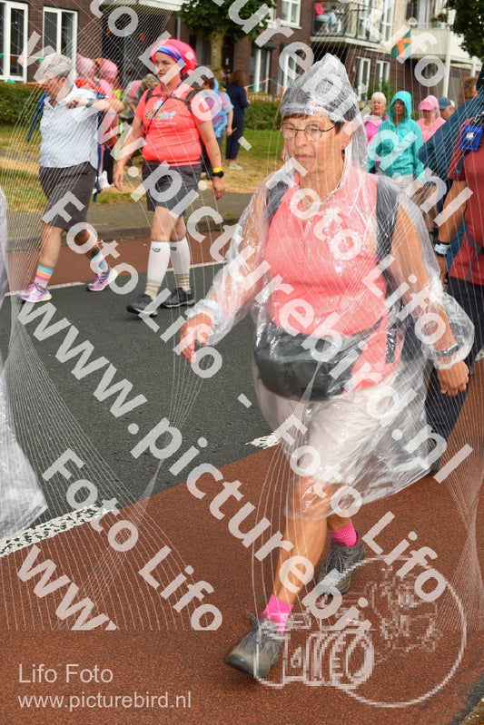 Evenement foto: Nijmeegse Vierdaagse 1031