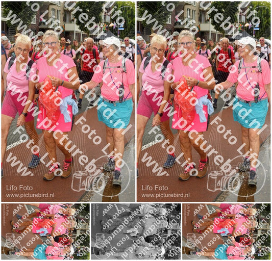 Evenement foto: Nijmeegse Vierdaagse 1029