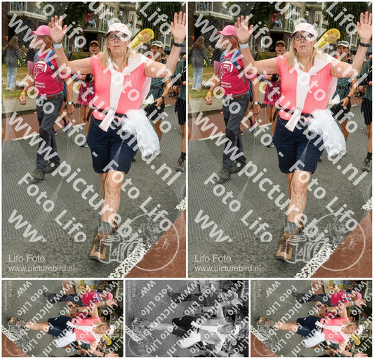 Evenement foto: Nijmeegse Vierdaagse 1029