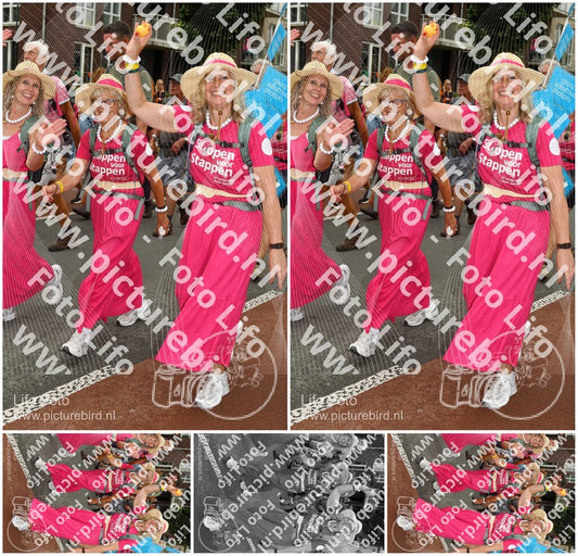 Evenement foto: Nijmeegse Vierdaagse 1029