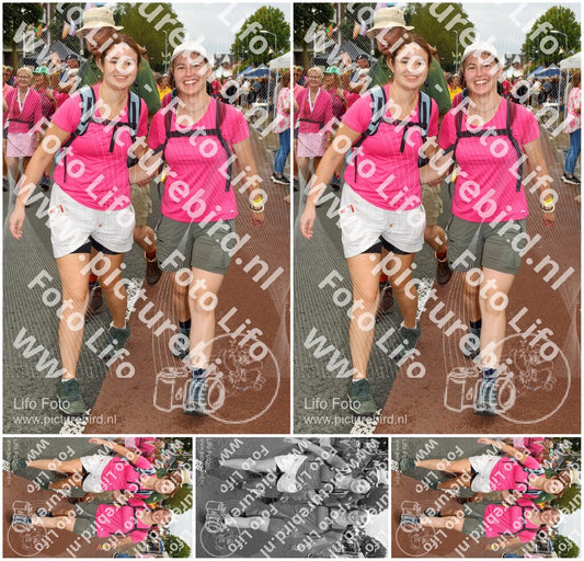 Evenement foto: Nijmeegse Vierdaagse 1029