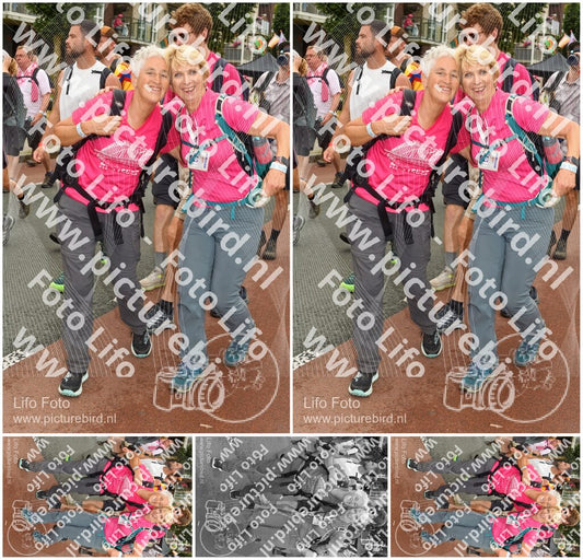Evenement foto: Nijmeegse Vierdaagse 1029