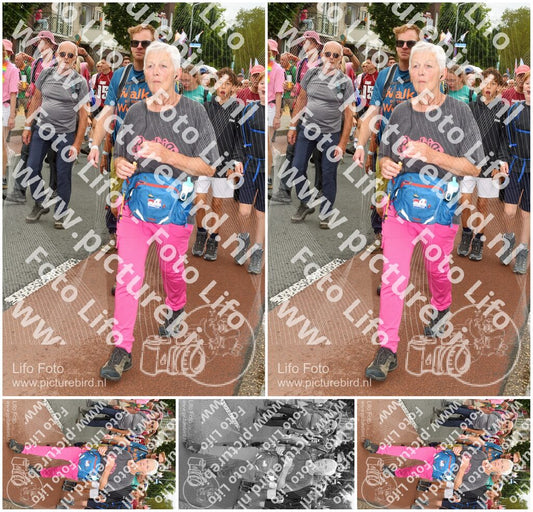 Evenement foto: Nijmeegse Vierdaagse 1029