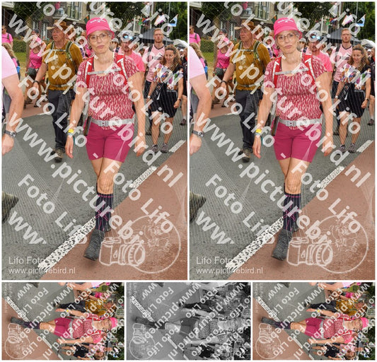 Evenement foto: Nijmeegse Vierdaagse 1029