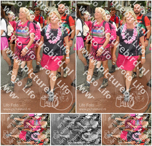 Evenement foto: Nijmeegse Vierdaagse 1029