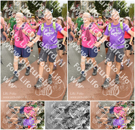 Evenement foto: Nijmeegse Vierdaagse 1029