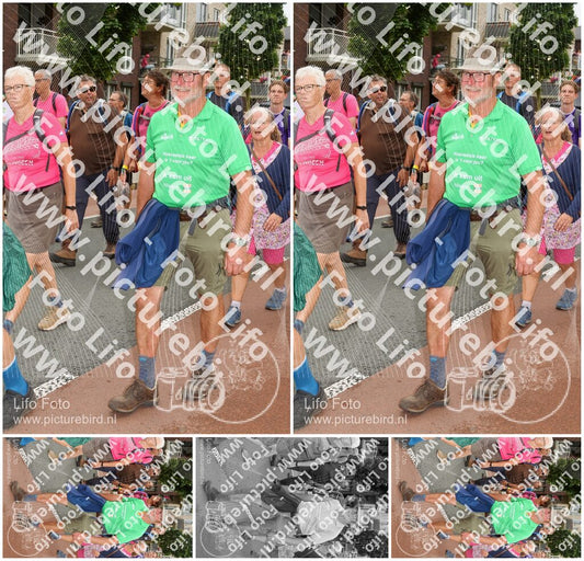 Evenement foto: Nijmeegse Vierdaagse 1029