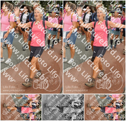 Evenement foto: Nijmeegse Vierdaagse 1029