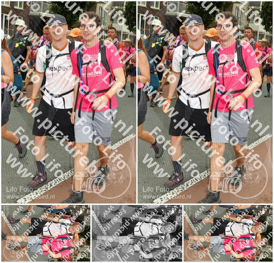 Evenement foto: Nijmeegse Vierdaagse 1029