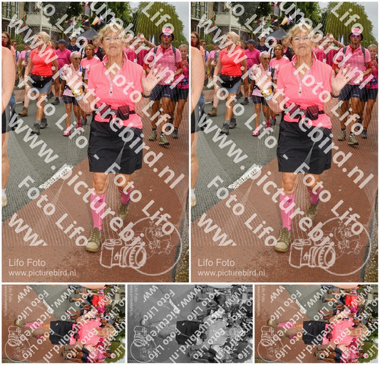 Evenement foto: Nijmeegse Vierdaagse 1029