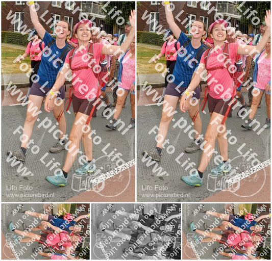 Evenement foto: Nijmeegse Vierdaagse 1029
