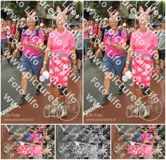 Evenement foto: Nijmeegse Vierdaagse 1028