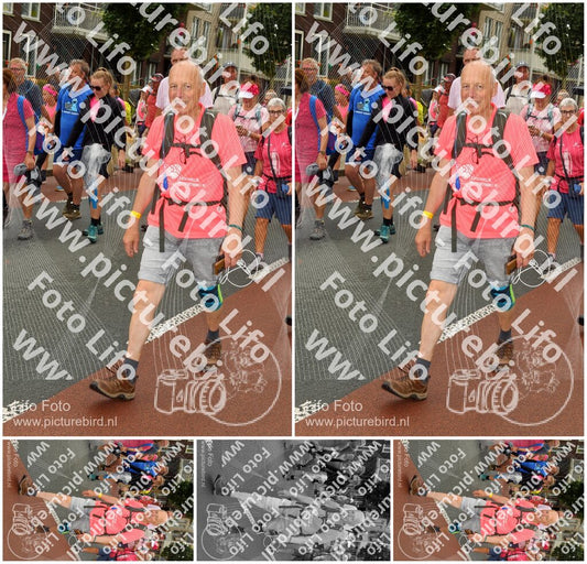 Evenement foto: Nijmeegse Vierdaagse 1028