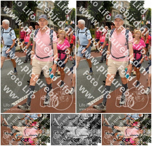 Evenement foto: Nijmeegse Vierdaagse 1028