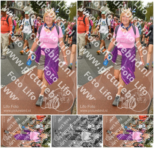 Evenement foto: Nijmeegse Vierdaagse 1028