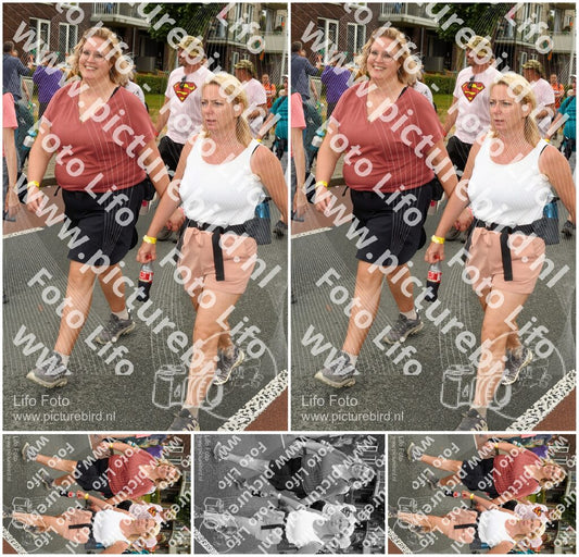 Evenement foto: Nijmeegse Vierdaagse 1028