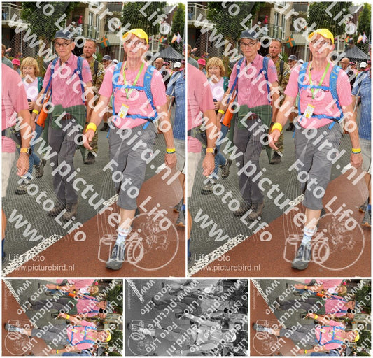 Evenement foto: Nijmeegse Vierdaagse 1028
