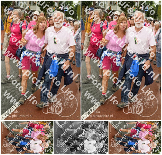 Evenement foto: Nijmeegse Vierdaagse 1028