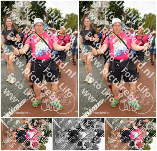 Evenement foto: Nijmeegse Vierdaagse 1028