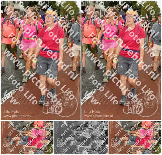 Evenement foto: Nijmeegse Vierdaagse 1028
