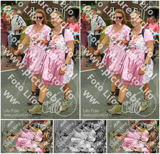 Evenement foto: Nijmeegse Vierdaagse 1028