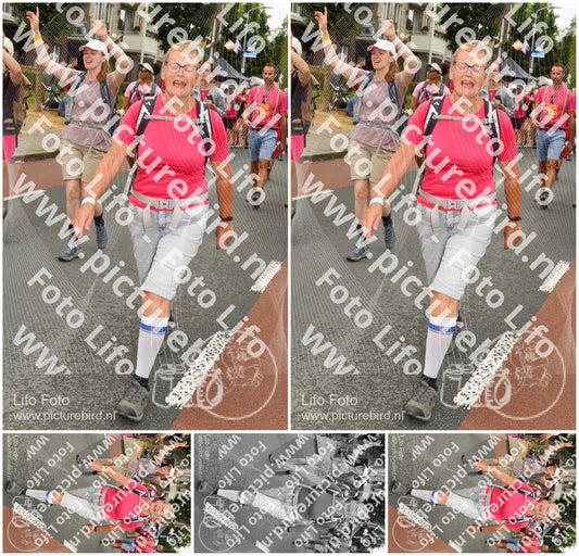 Evenement foto: Nijmeegse Vierdaagse 1028
