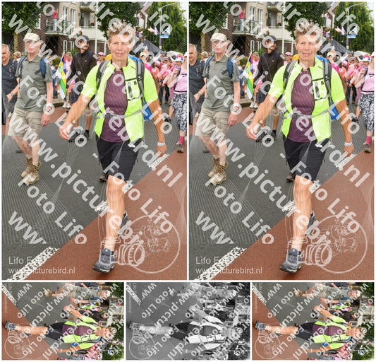 Evenement foto: Nijmeegse Vierdaagse 1027