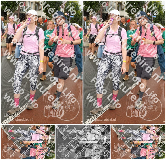 Evenement foto: Nijmeegse Vierdaagse 1027
