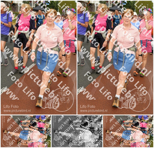 Evenement foto: Nijmeegse Vierdaagse 1027