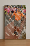 Evenement foto: Nijmeegse Vierdaagse 1027