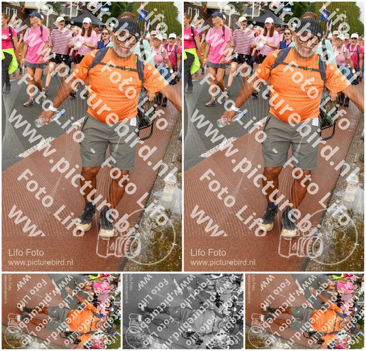Evenement foto: Nijmeegse Vierdaagse 1027
