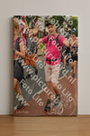 Evenement foto: Nijmeegse Vierdaagse 1027