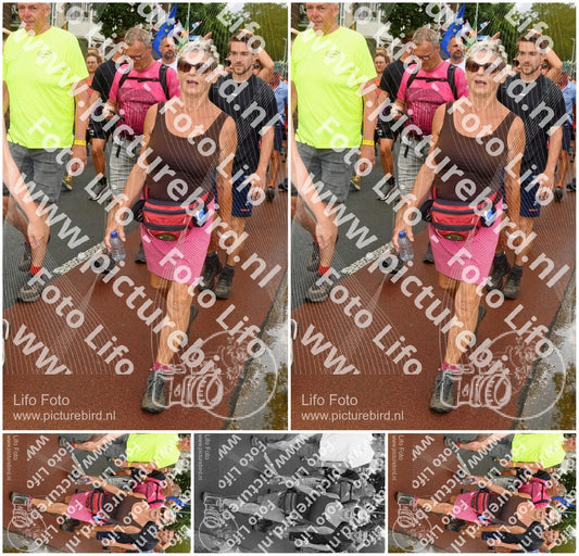 Evenement foto: Nijmeegse Vierdaagse 1027