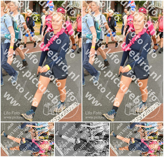Evenement foto: Nijmeegse Vierdaagse 1027
