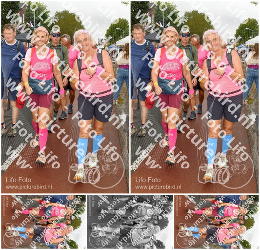 Evenement foto: Nijmeegse Vierdaagse 1027