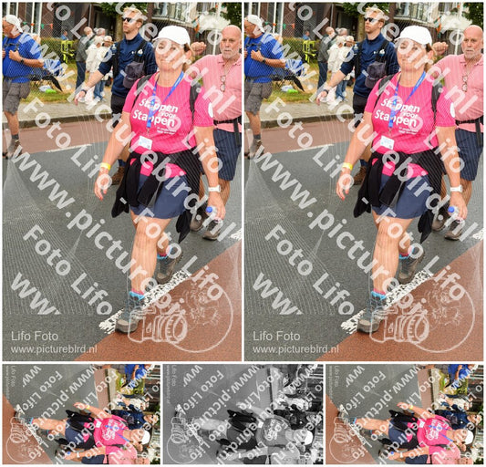 Evenement foto: Nijmeegse Vierdaagse 1027