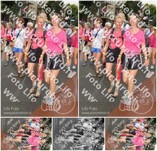Evenement foto: Nijmeegse Vierdaagse 1027